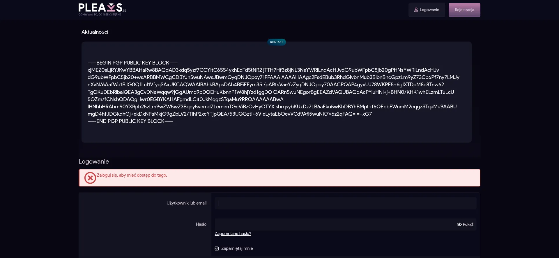 Website screenshot of Pleaks.se