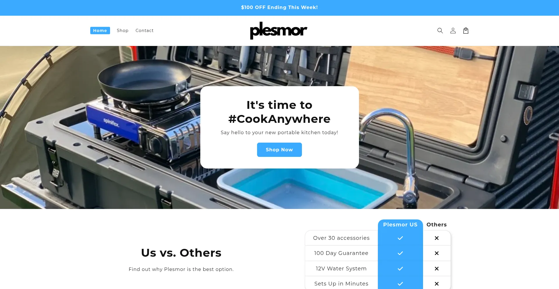 Website screenshot of Plesmor.co
