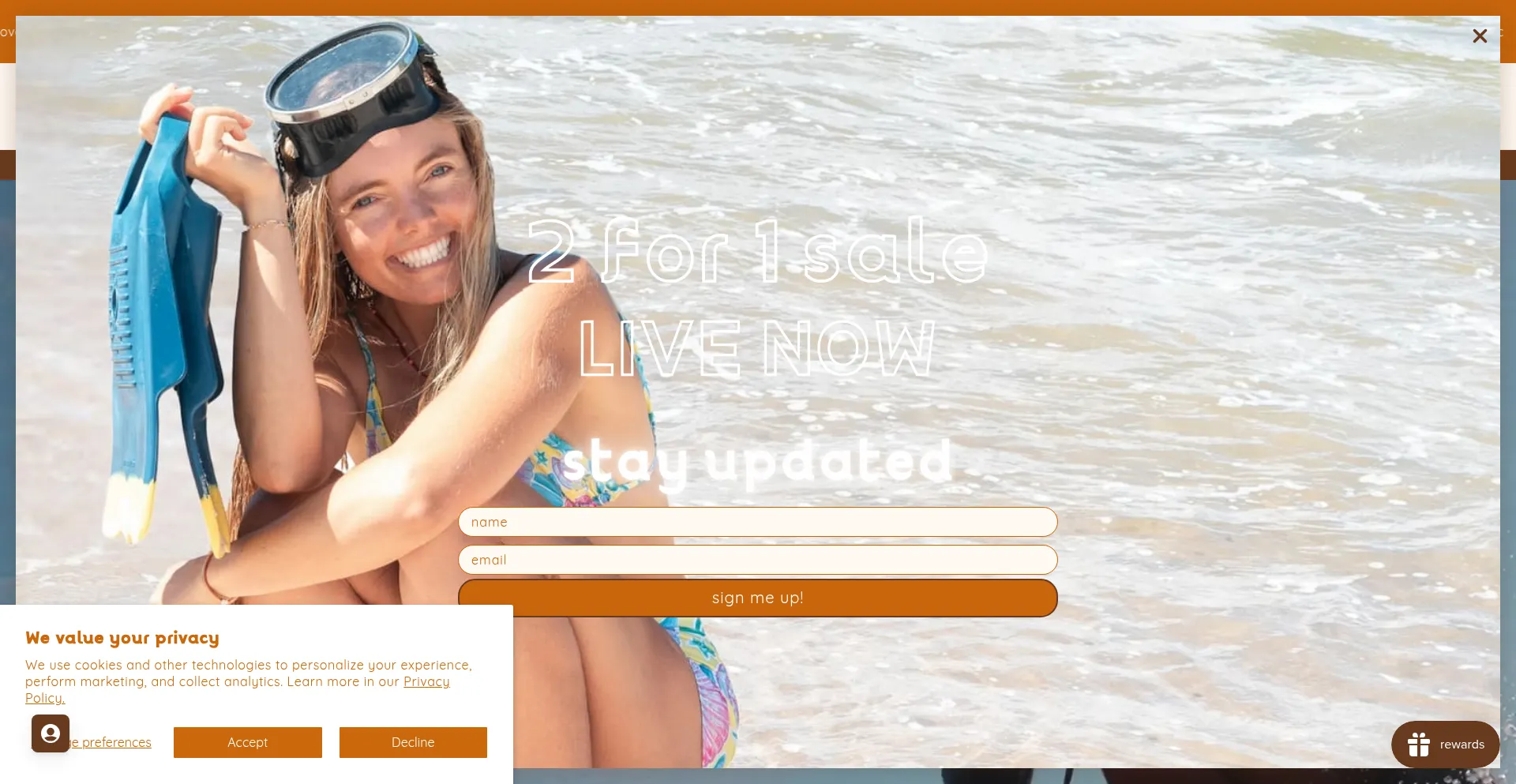 Website screenshot of Plowsurf.co