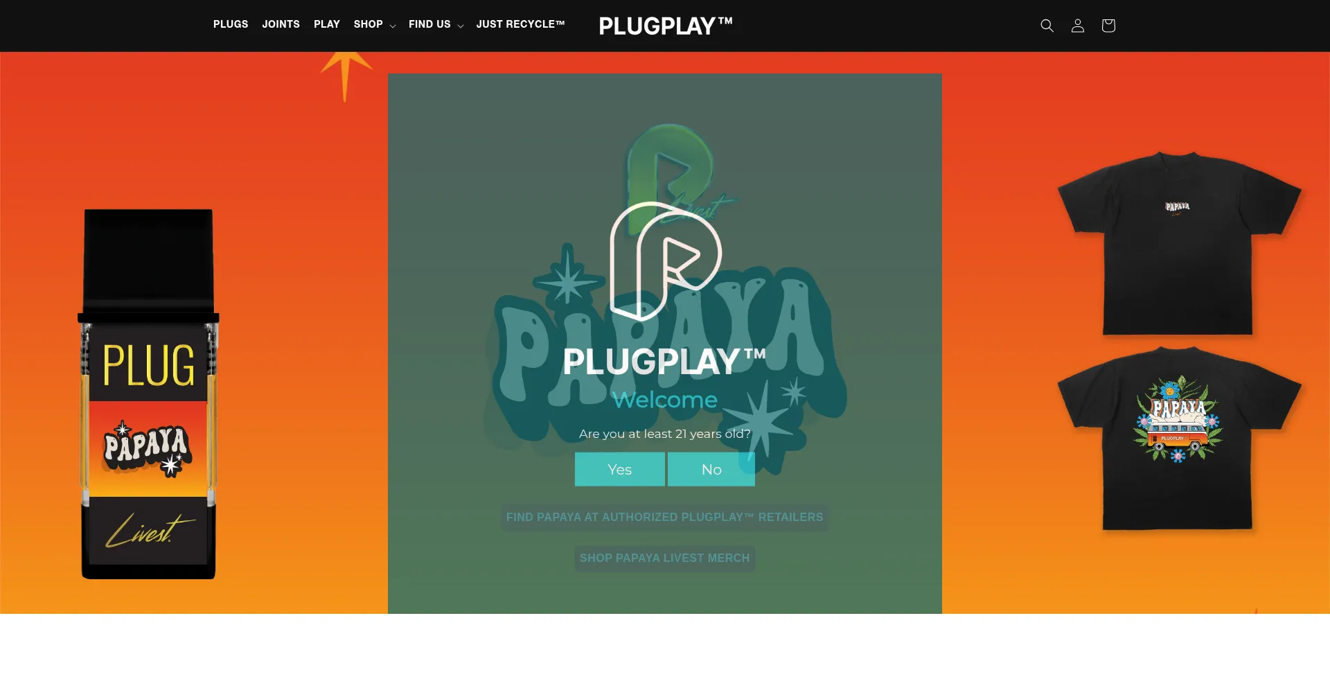 Plugplayallday.com