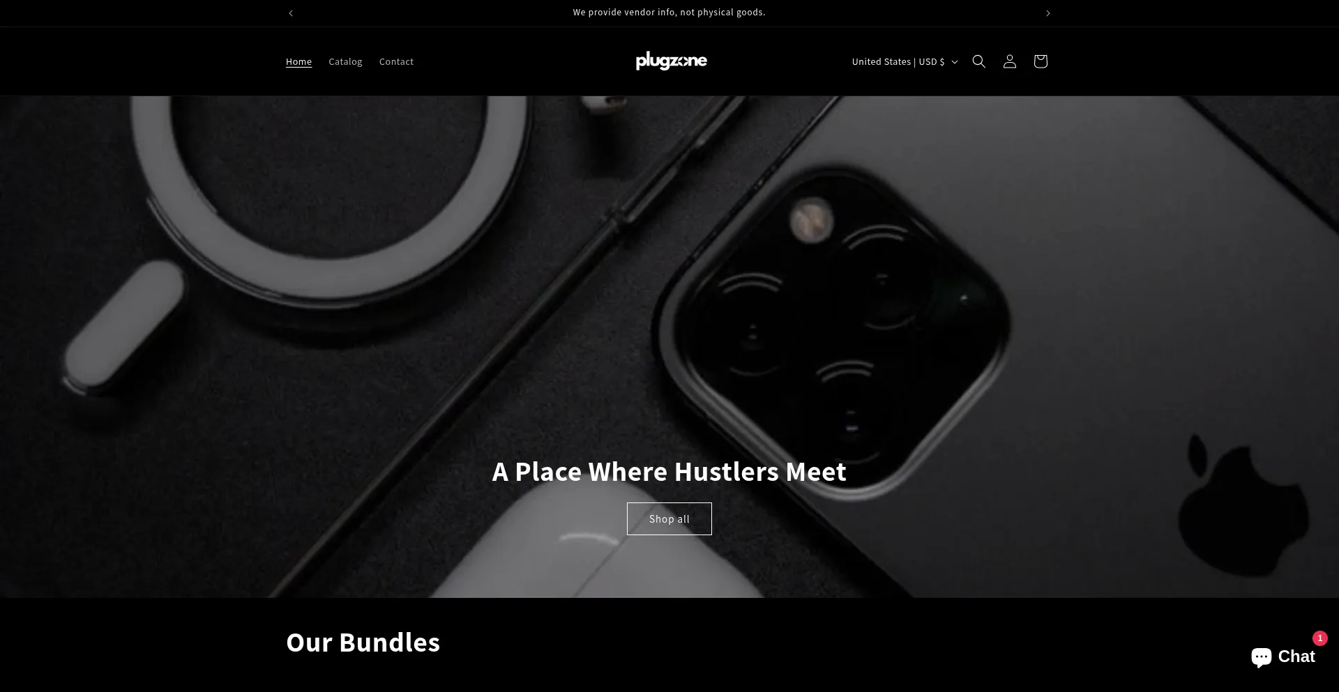 Website screenshot of Plugzone.store