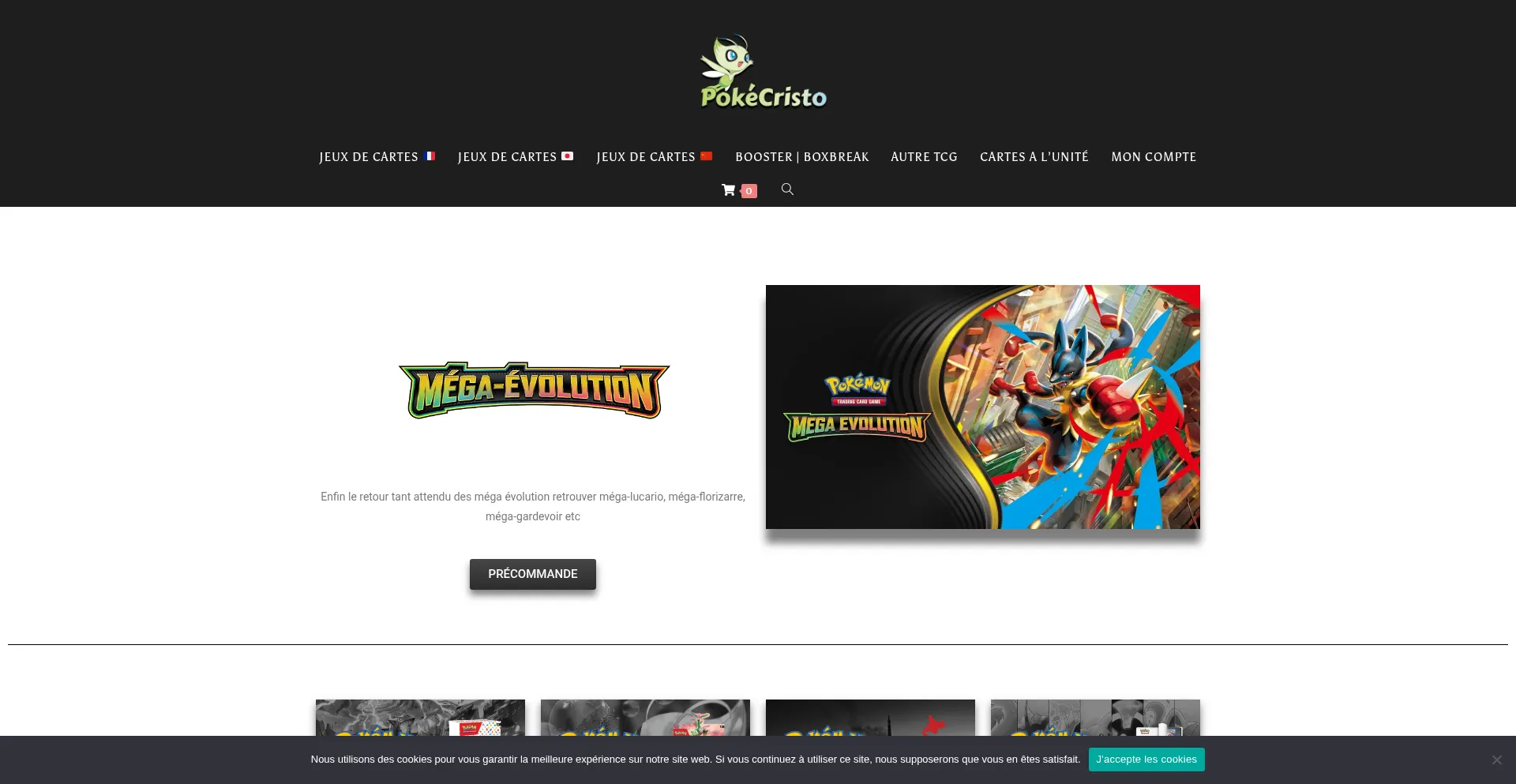 Website screenshot of Pokecristo.com