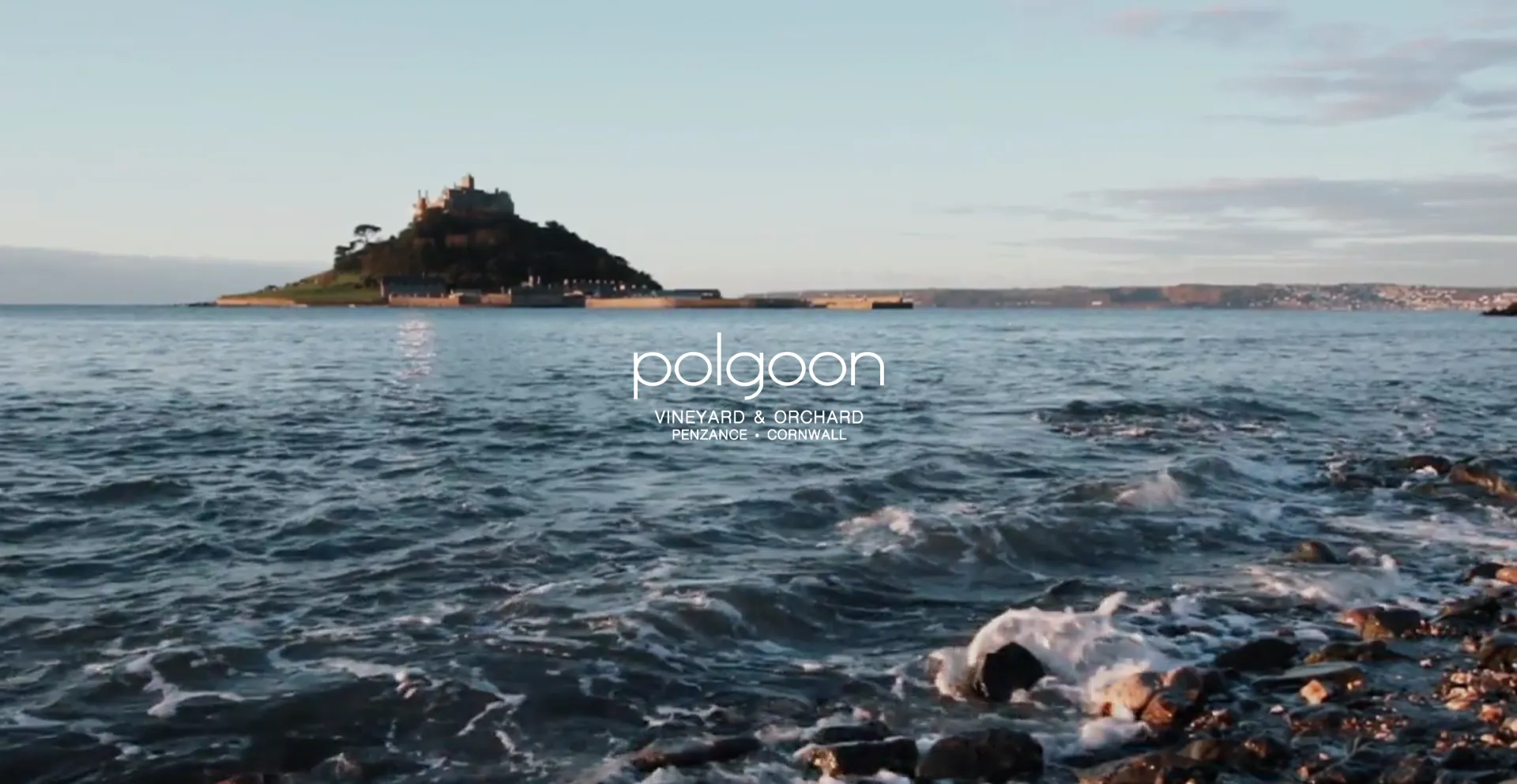 Polgoon.com