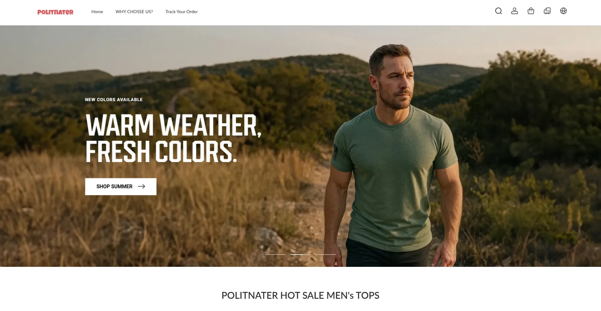 Website screenshot of Politnater.com
