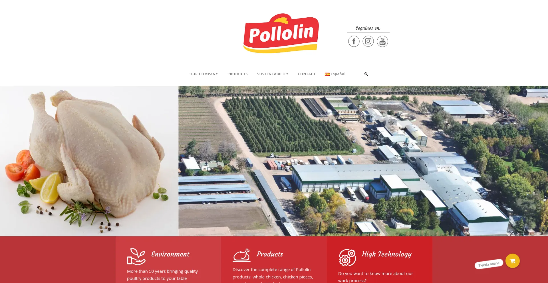 Website screenshot of Pollolin.com