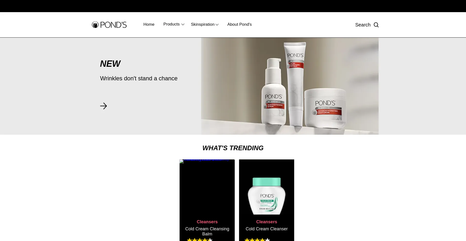 Website screenshot of Ponds.com