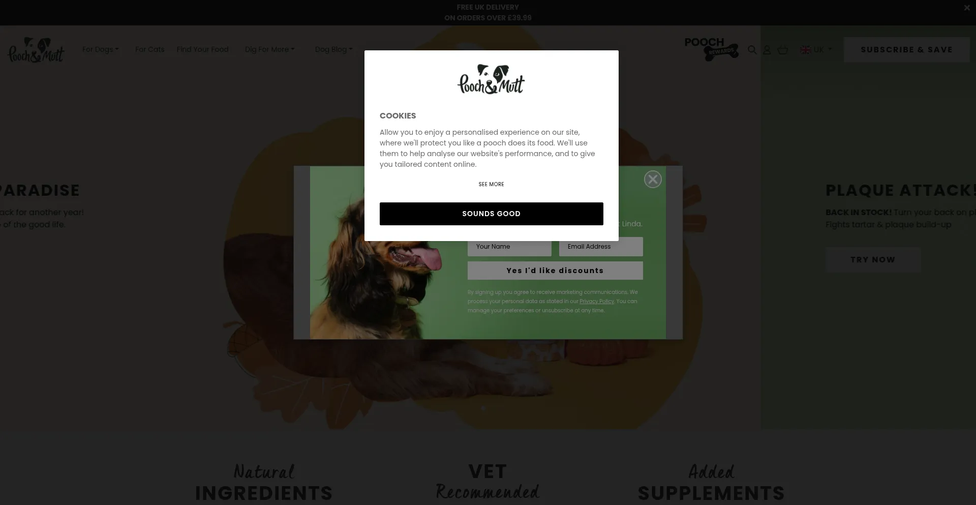 Poochandmutt.co.uk Screenshot