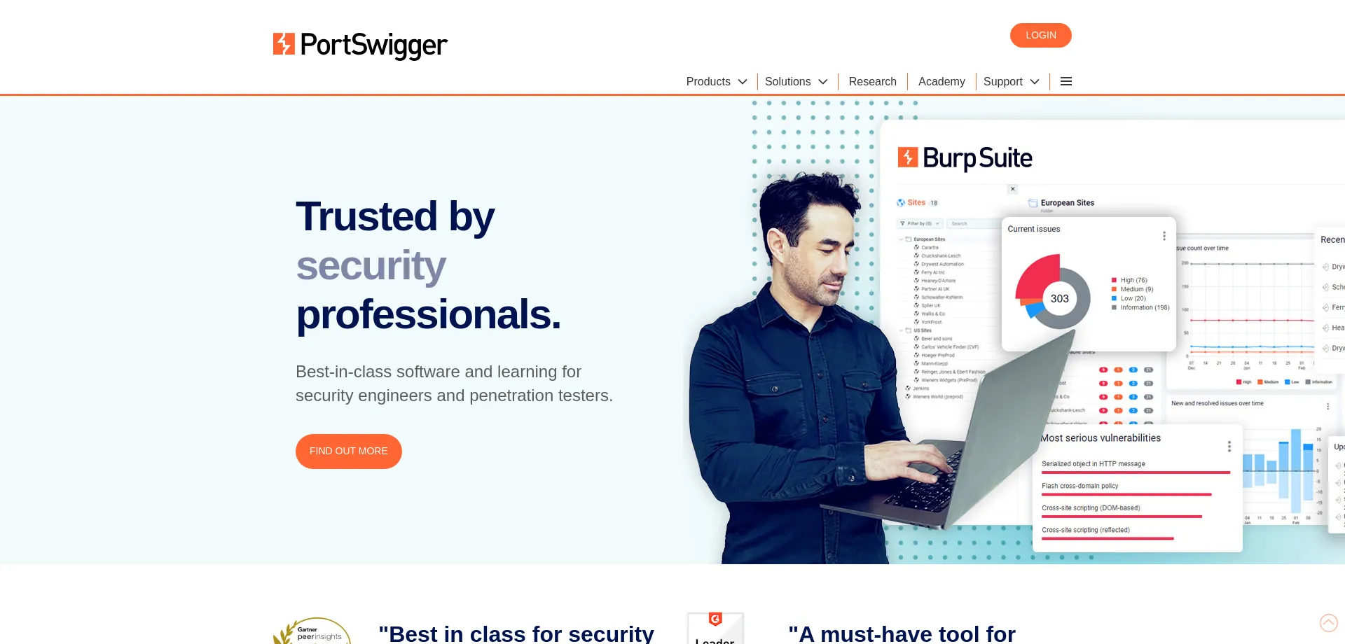 Website screenshot of Portswigger.net
