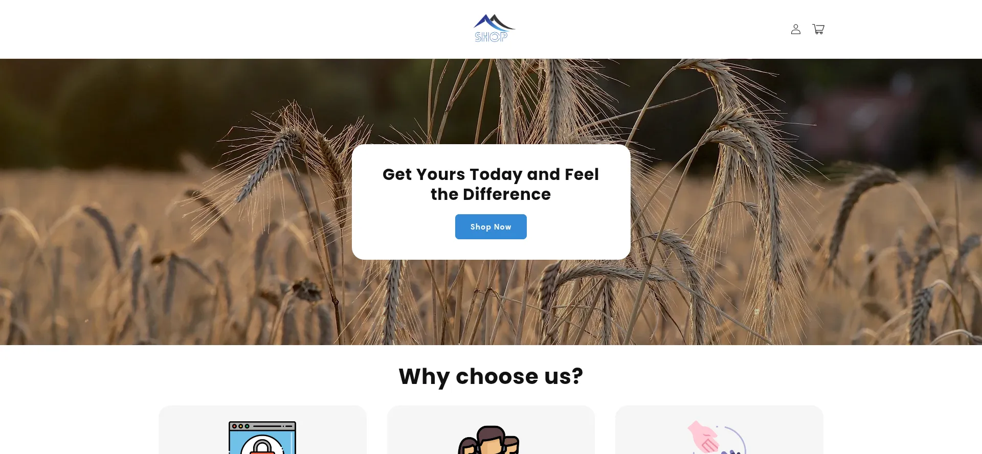Website screenshot of Postureshops.com
