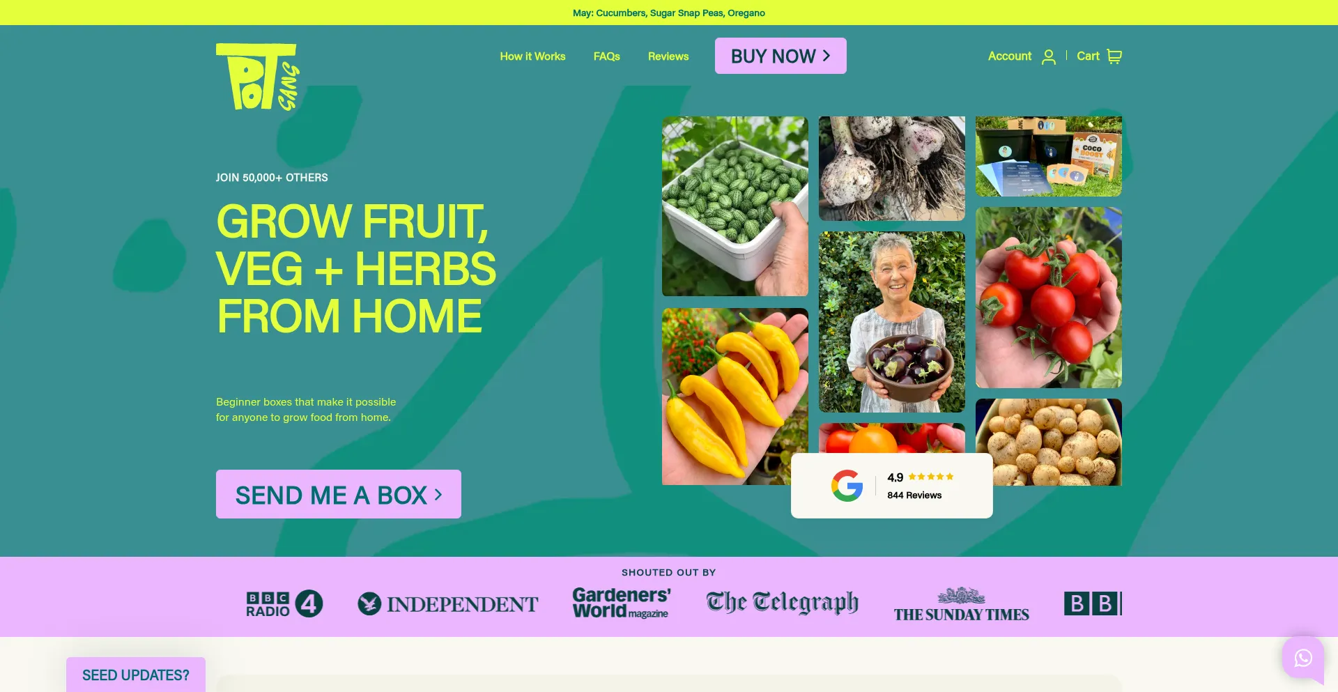 Website screenshot of Potgang.co.uk