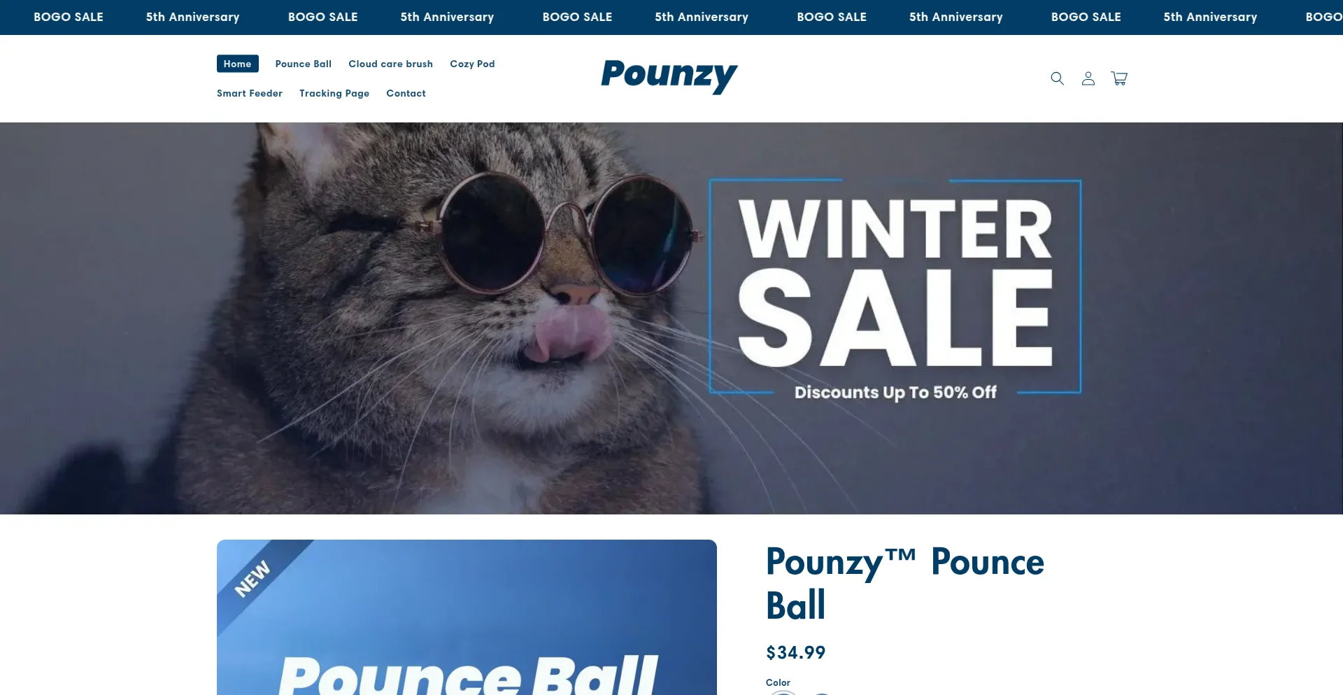 Website screenshot of Pounzy.com