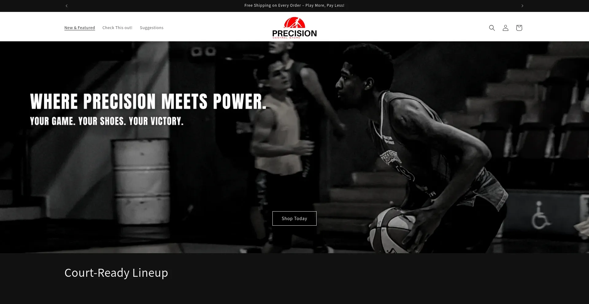 Website screenshot of Precisioncentralstore.com