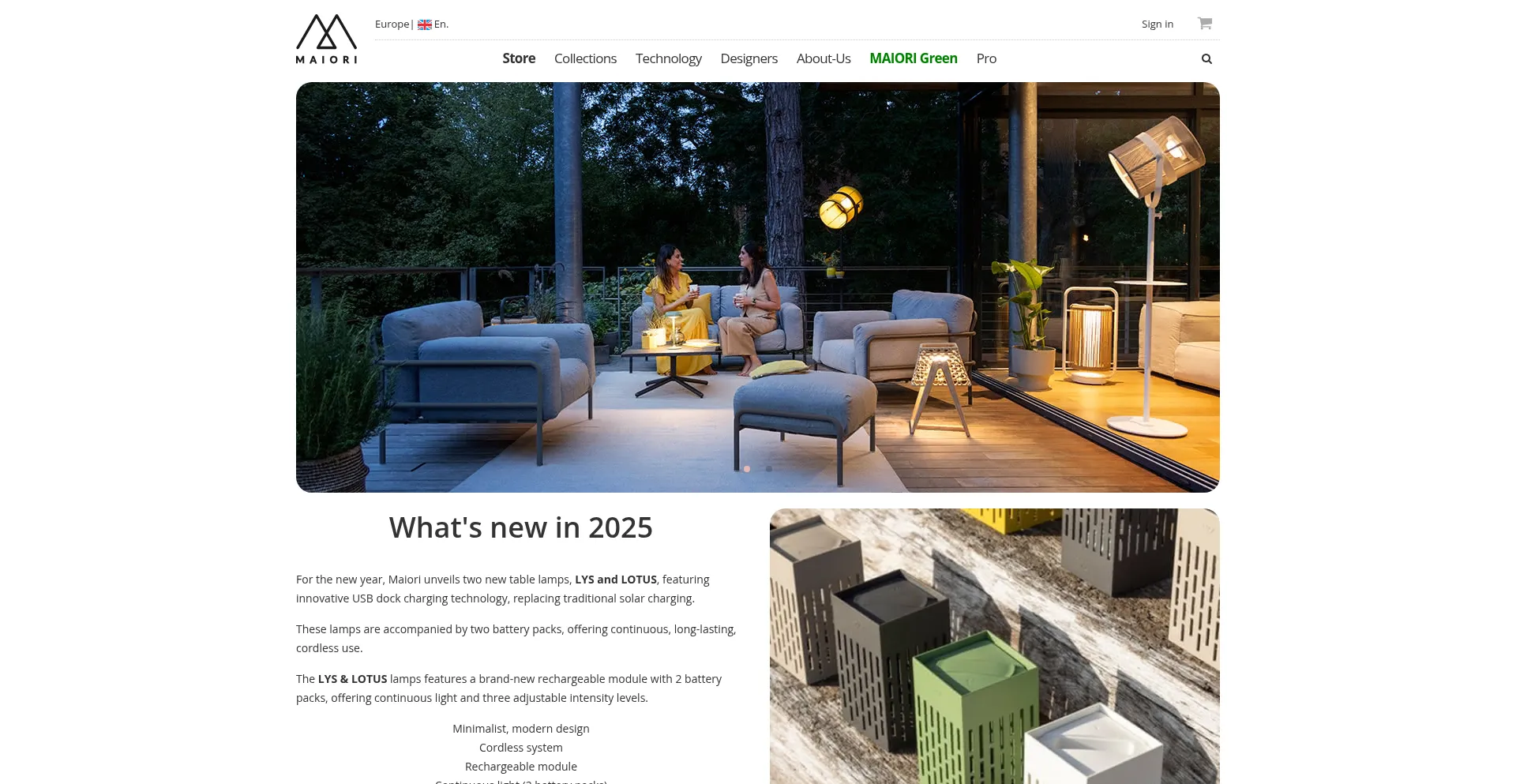 Website screenshot of Pro.maiori.com
