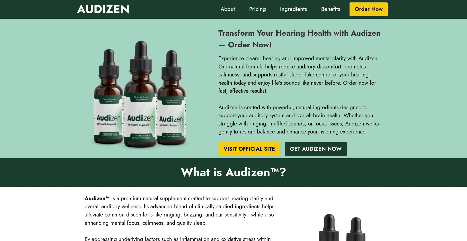 Pro--audizen.com Screenshot