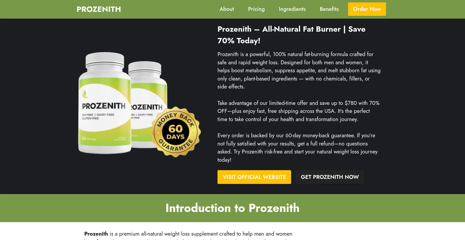 Website screenshot of Pro-zenith.us
