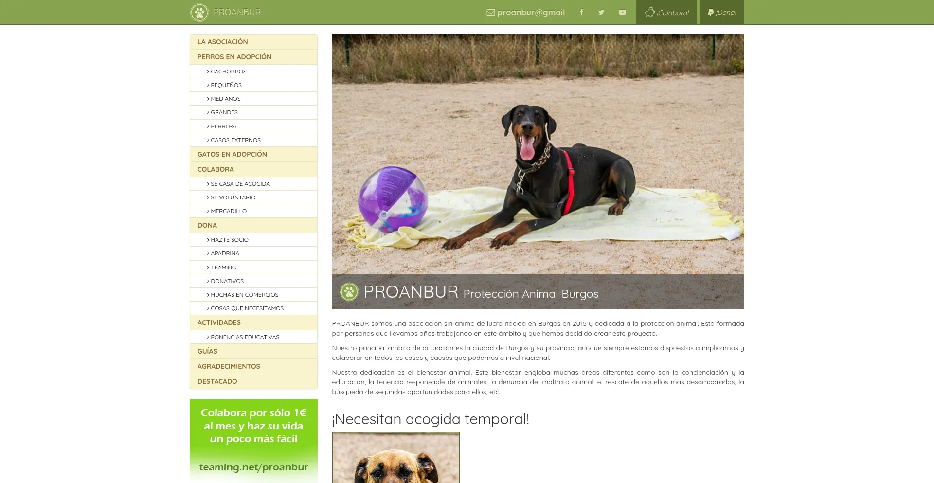 Is Proanbur.com Safe?