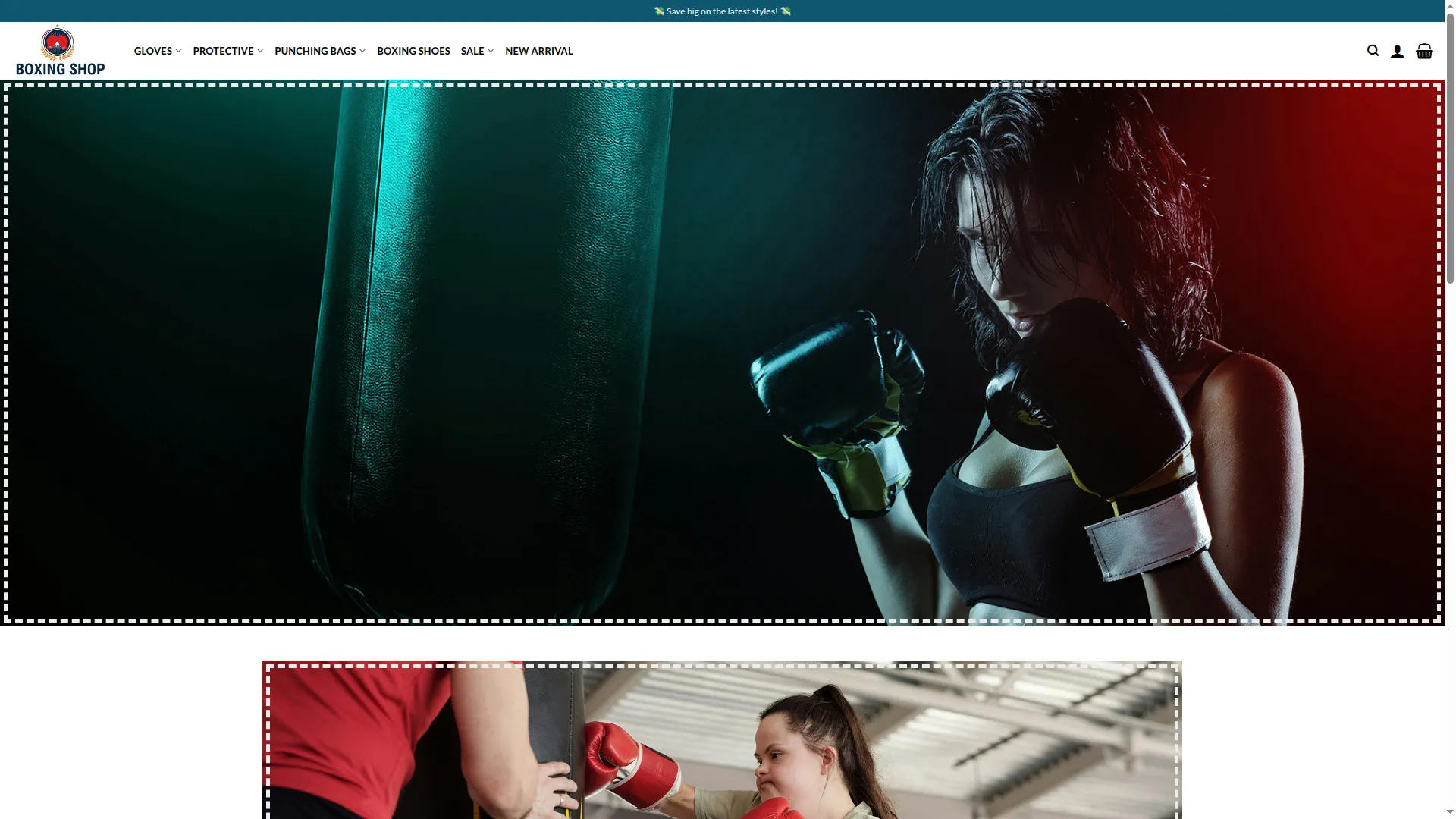 Proboxingoutlet.com