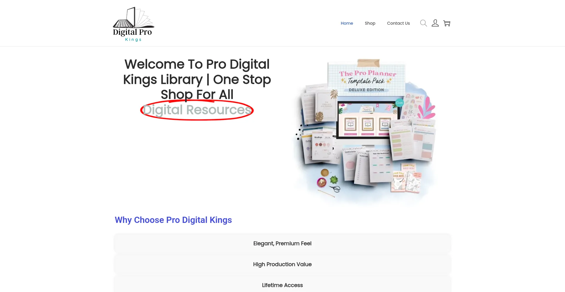 Website screenshot of Prodigitalkings.com