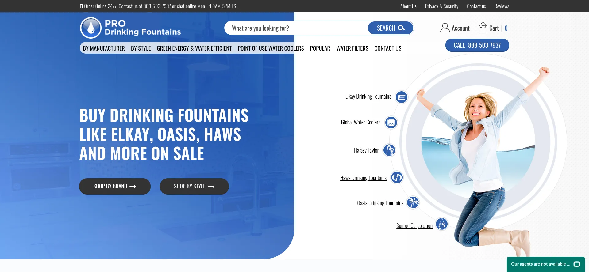Website screenshot of Prodrinkingfountains.com