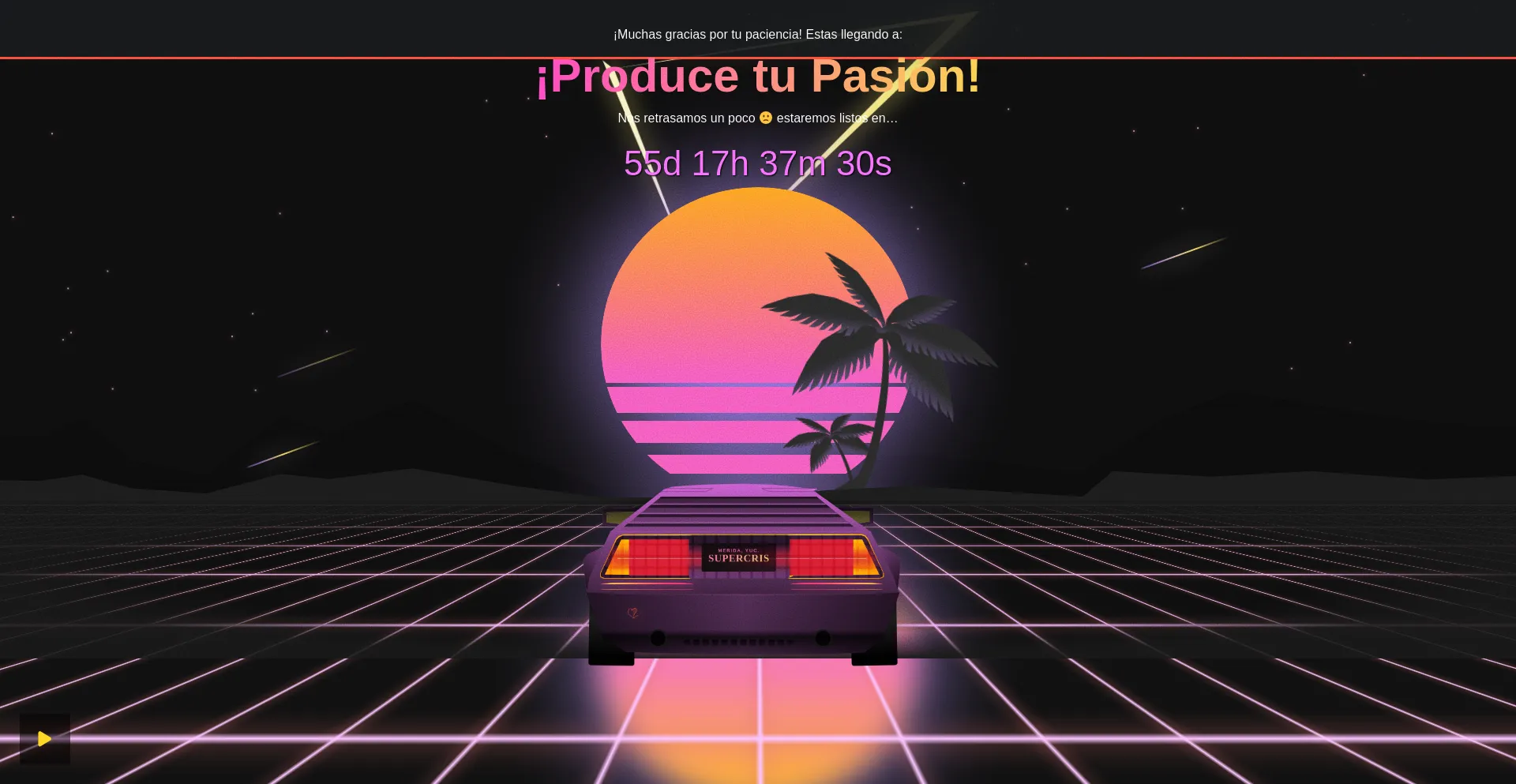 Website screenshot of Producetupasion.com