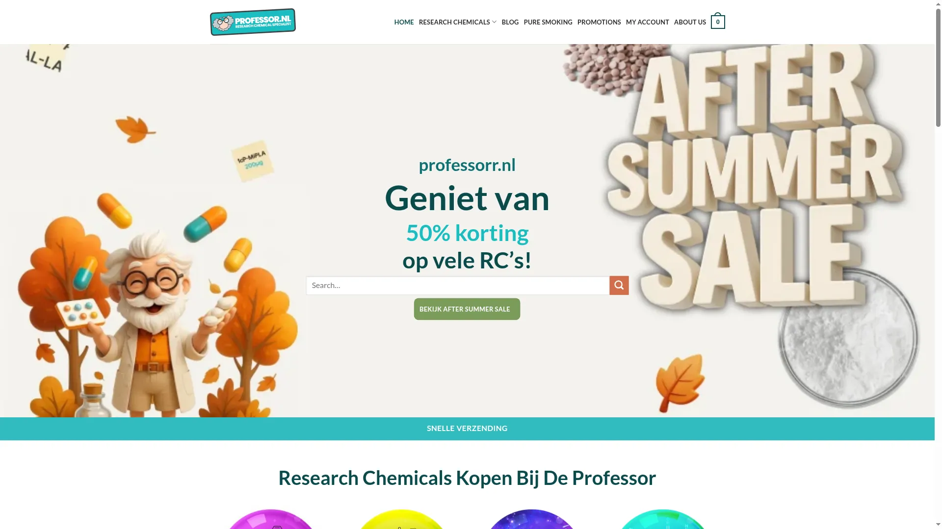 Profesorr.nl