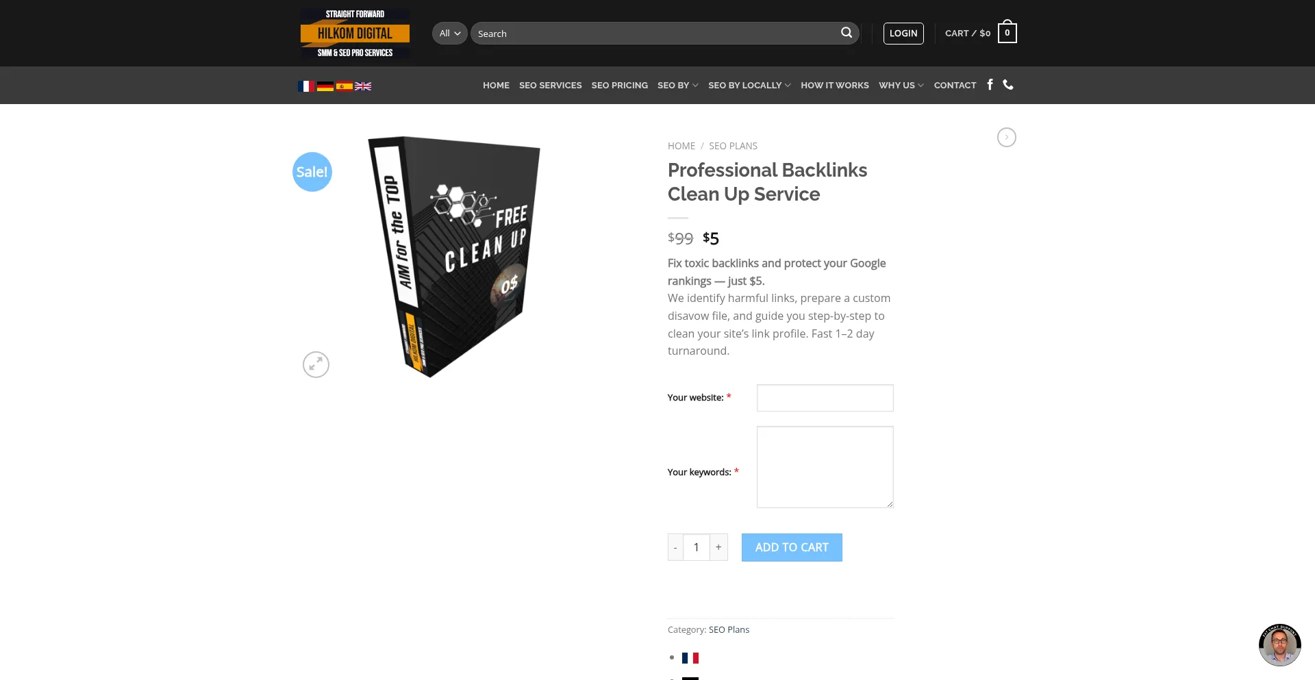 Professionalseocleanup.com Screenshot