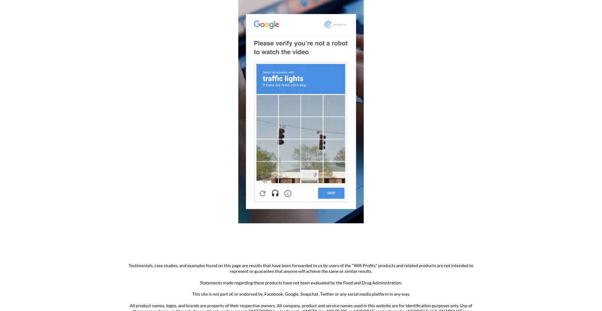 Website screenshot of Profitwithwifinow.com