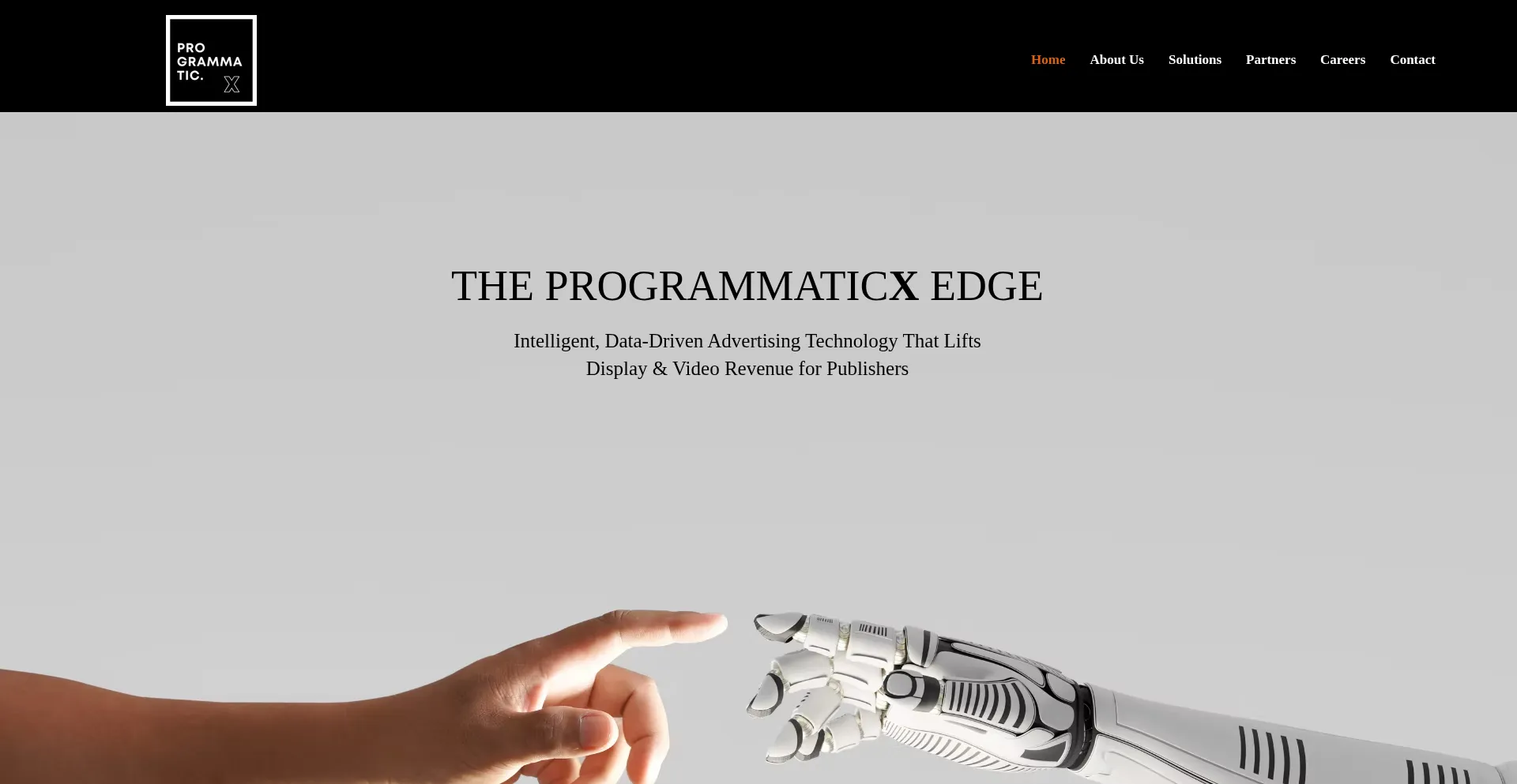 Programmaticx.ai