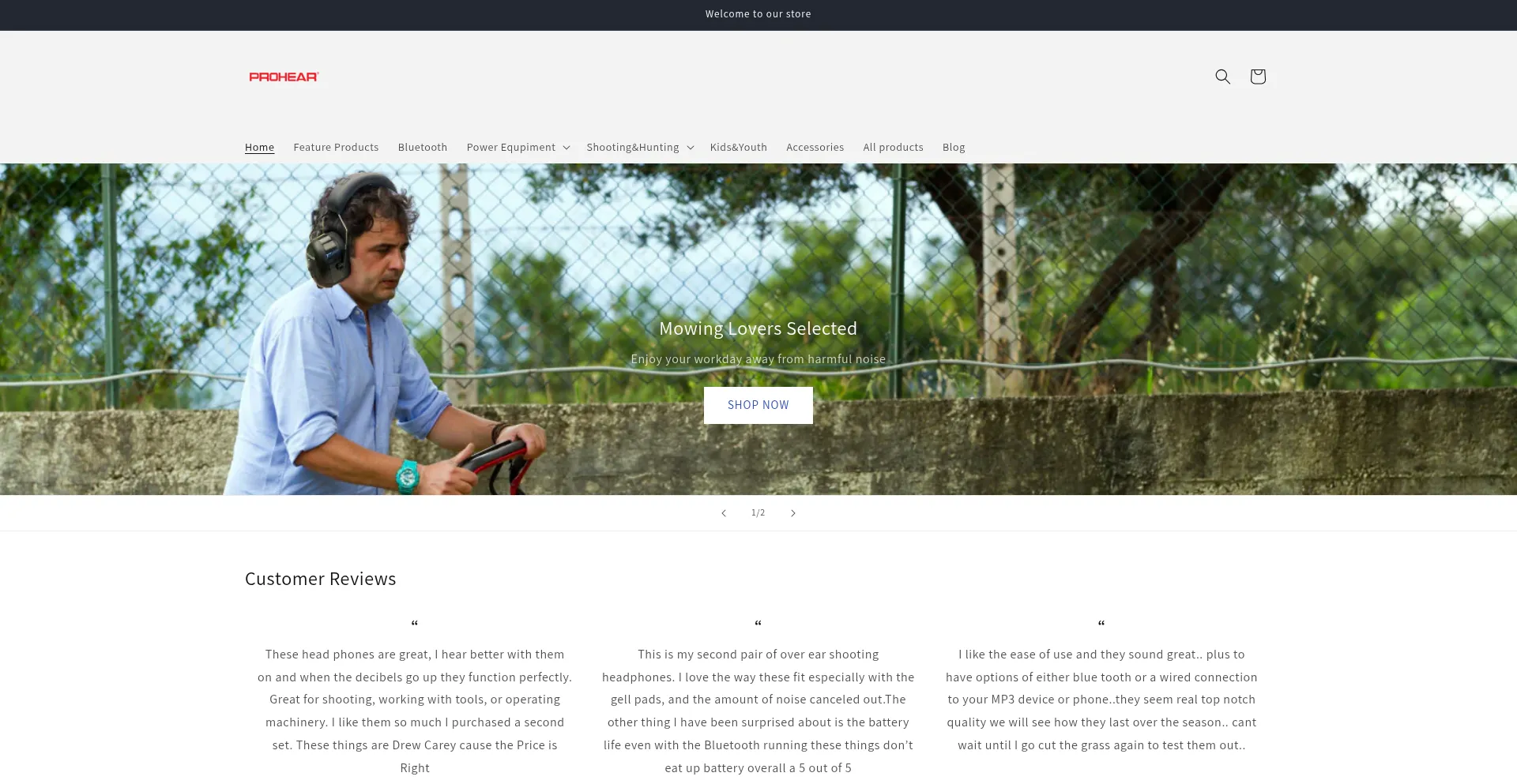 Website screenshot of Prohearsafety.com