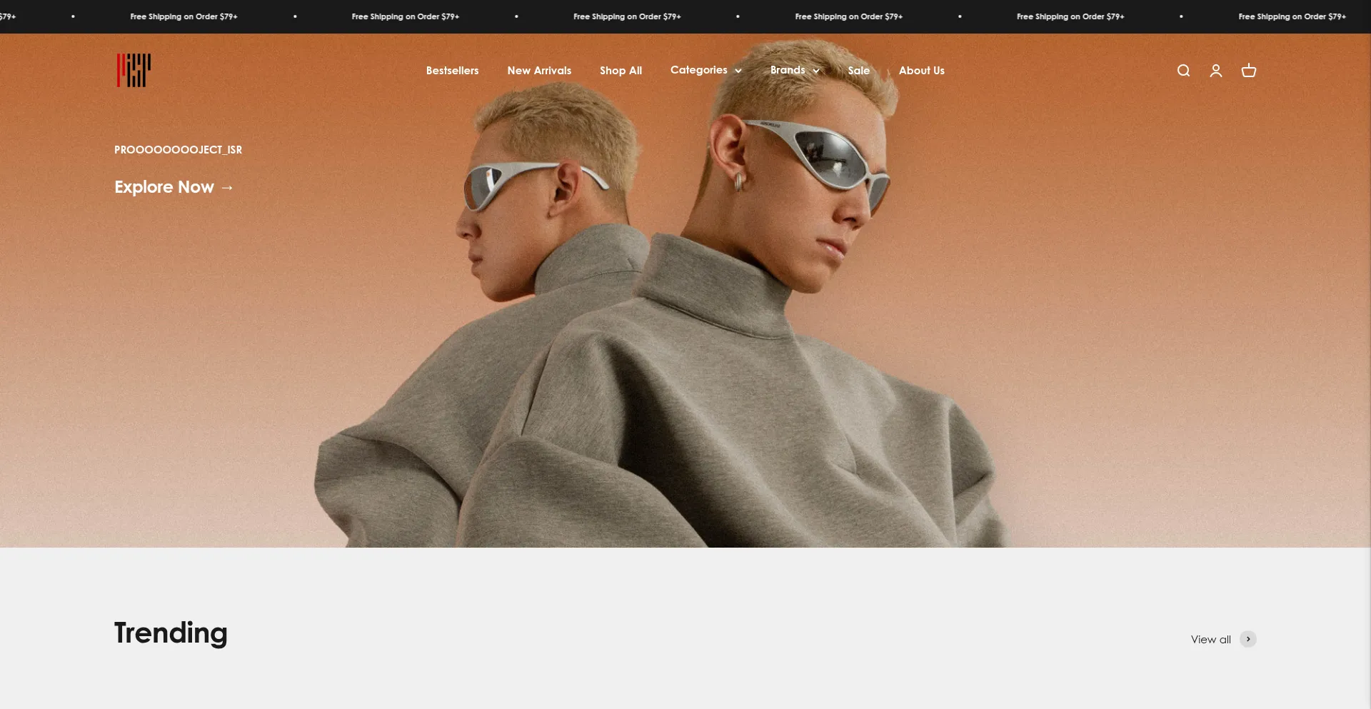 Website screenshot of Projectisr.com