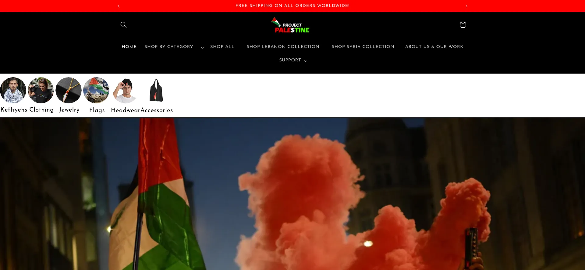 Website screenshot of Projectps.co