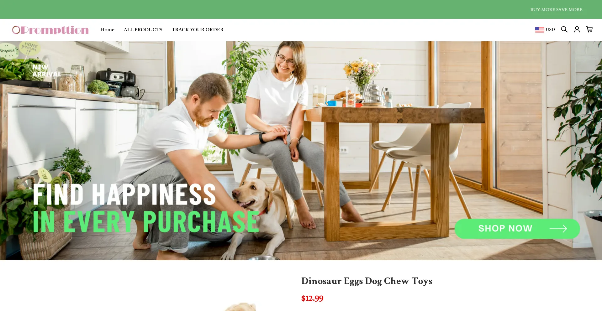 Website screenshot of Prompttion.com