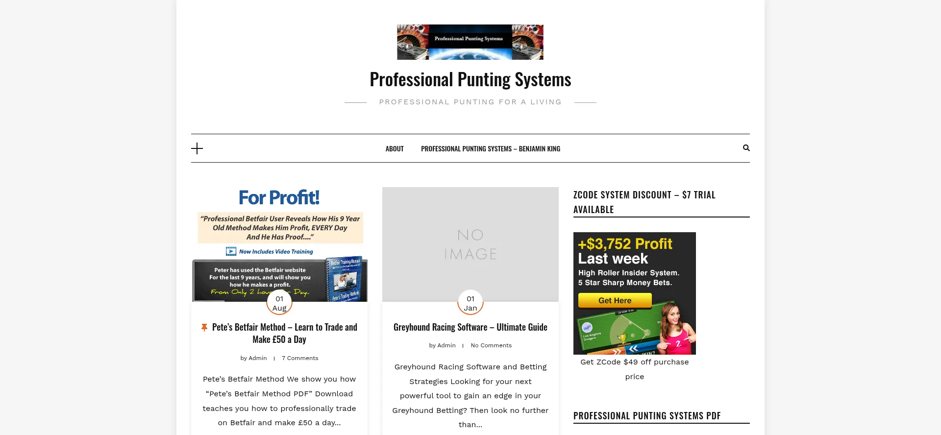 Propuntingsystems.com