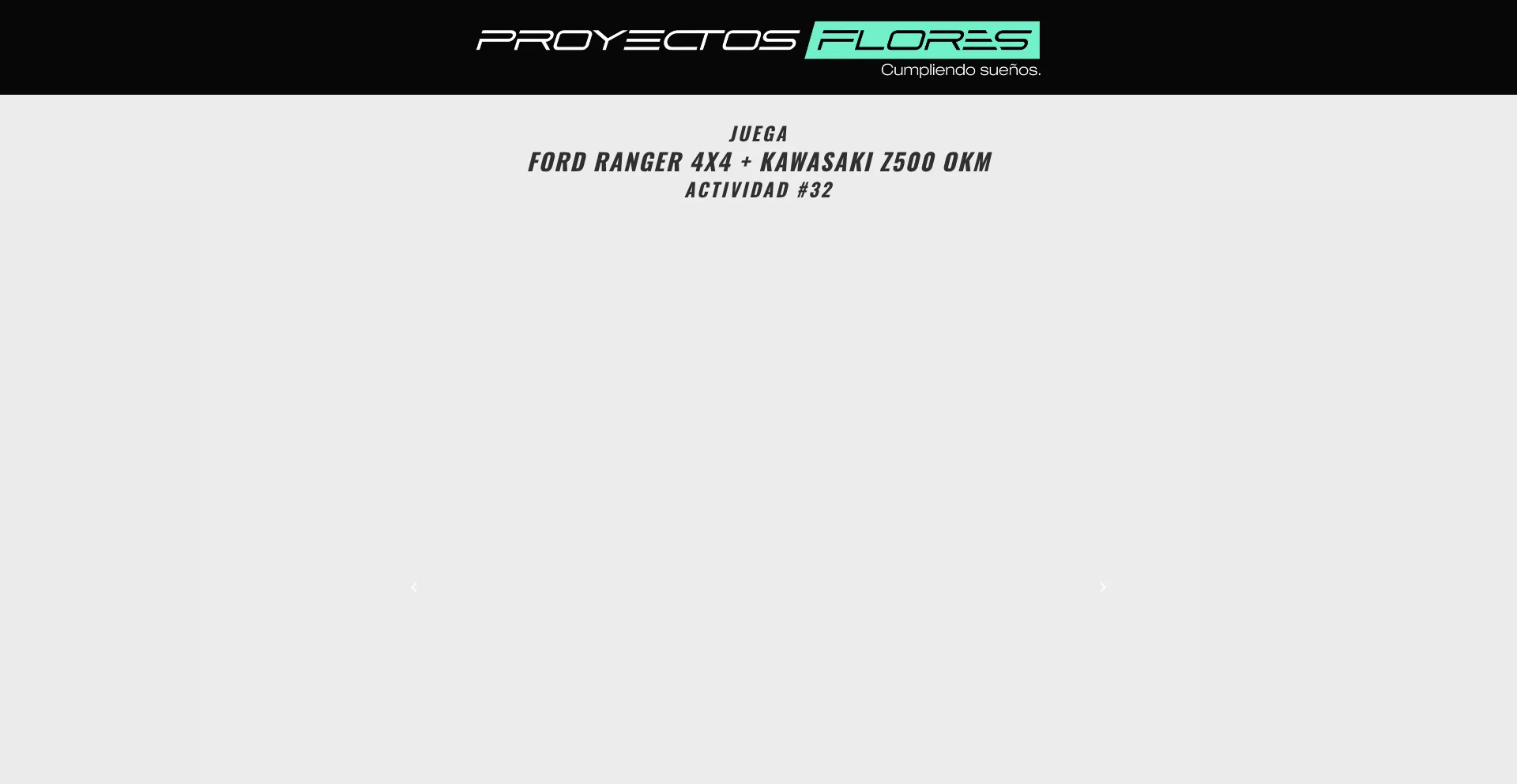 Website screenshot of Proyectosflores.com