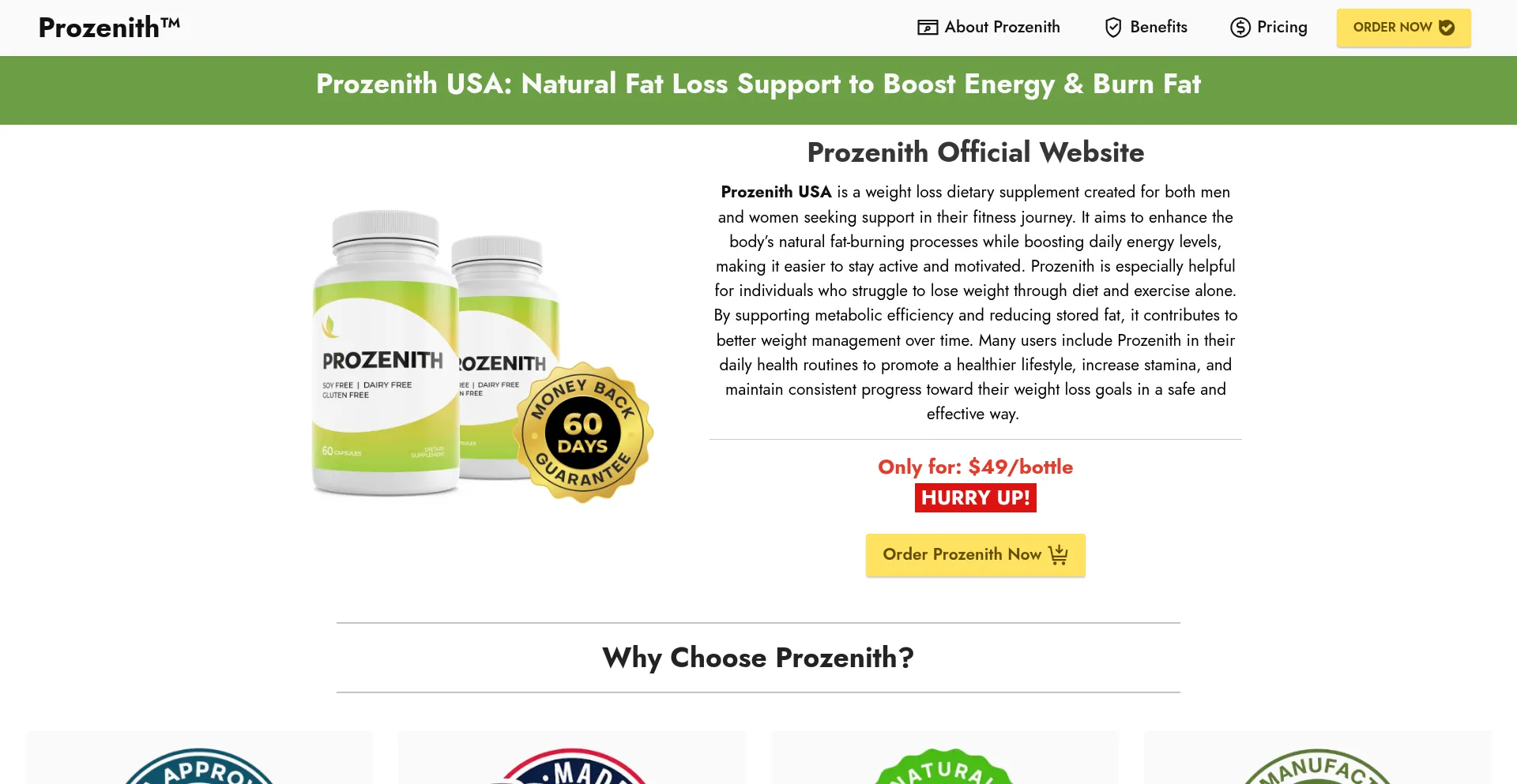 Website screenshot of Prozenith-usa.us