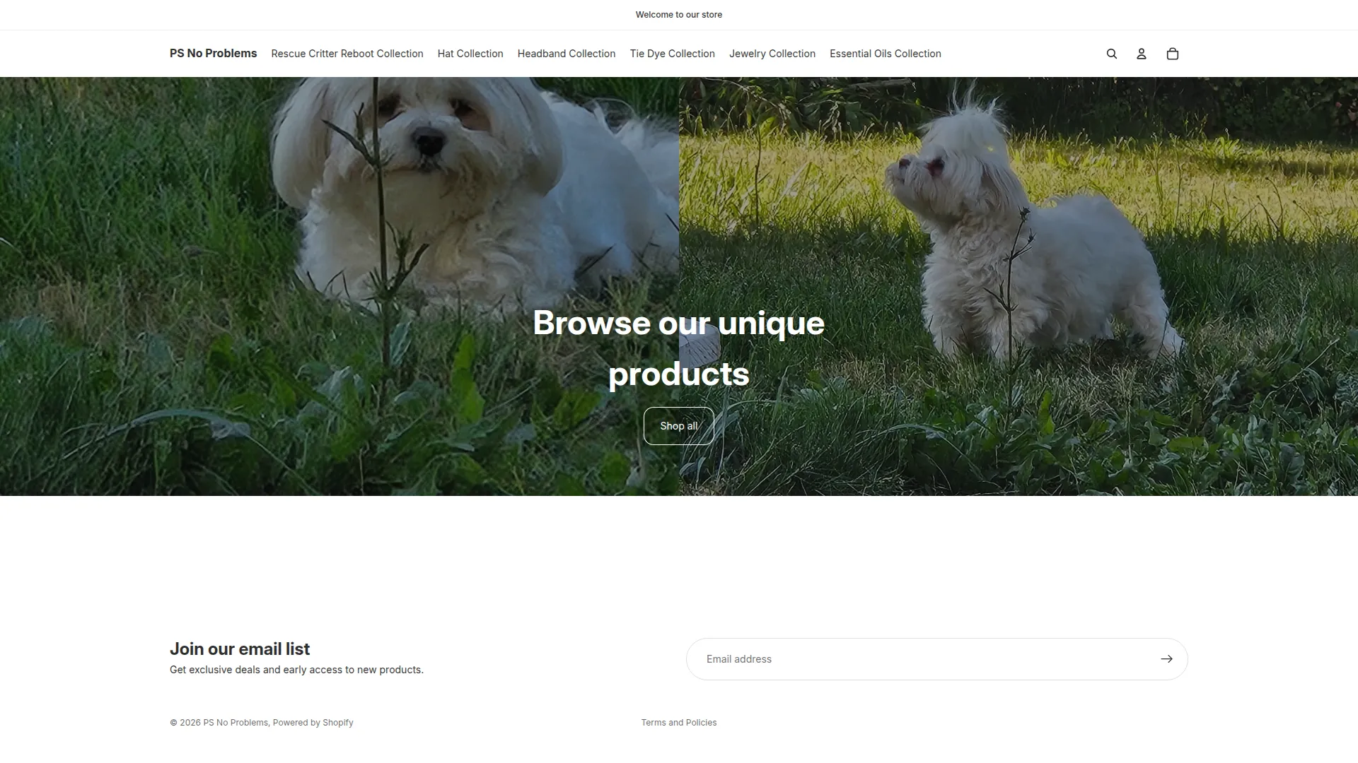 Psnoproblems.com