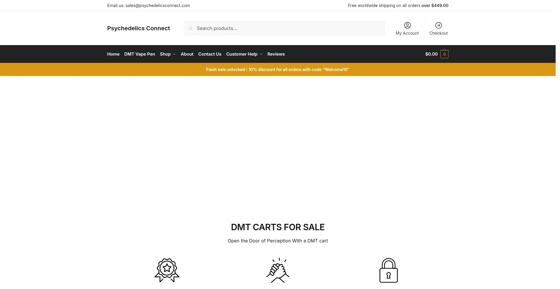 Website screenshot of Psychedelicsconnect.com
