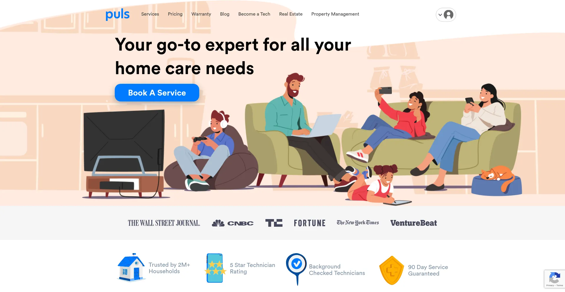 Website screenshot of Puls.com