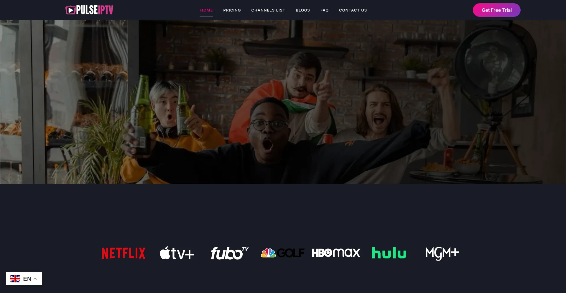 Website screenshot of Pulseiptv.com