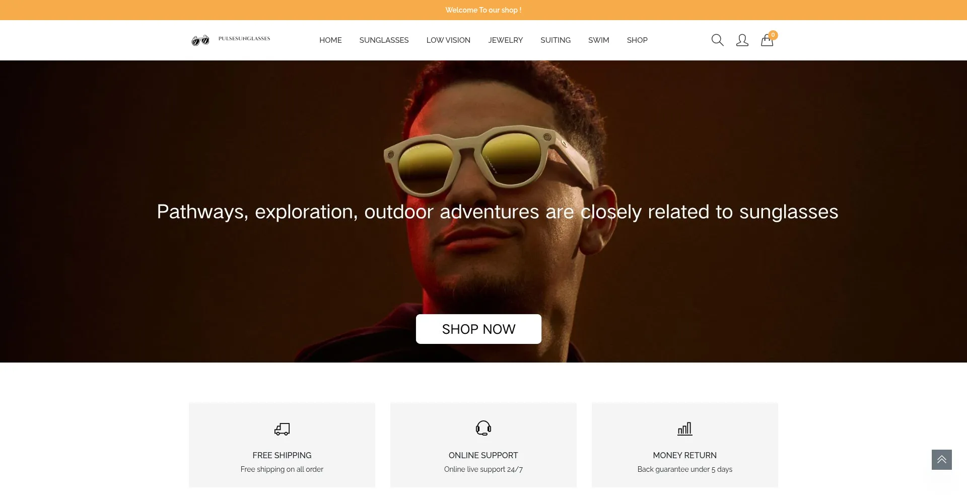 Pulsesunglasses.com Screenshot