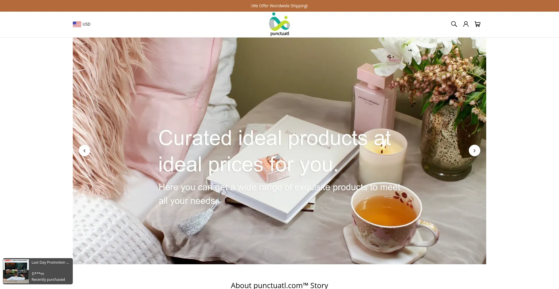 Website screenshot of Punctuatl.com