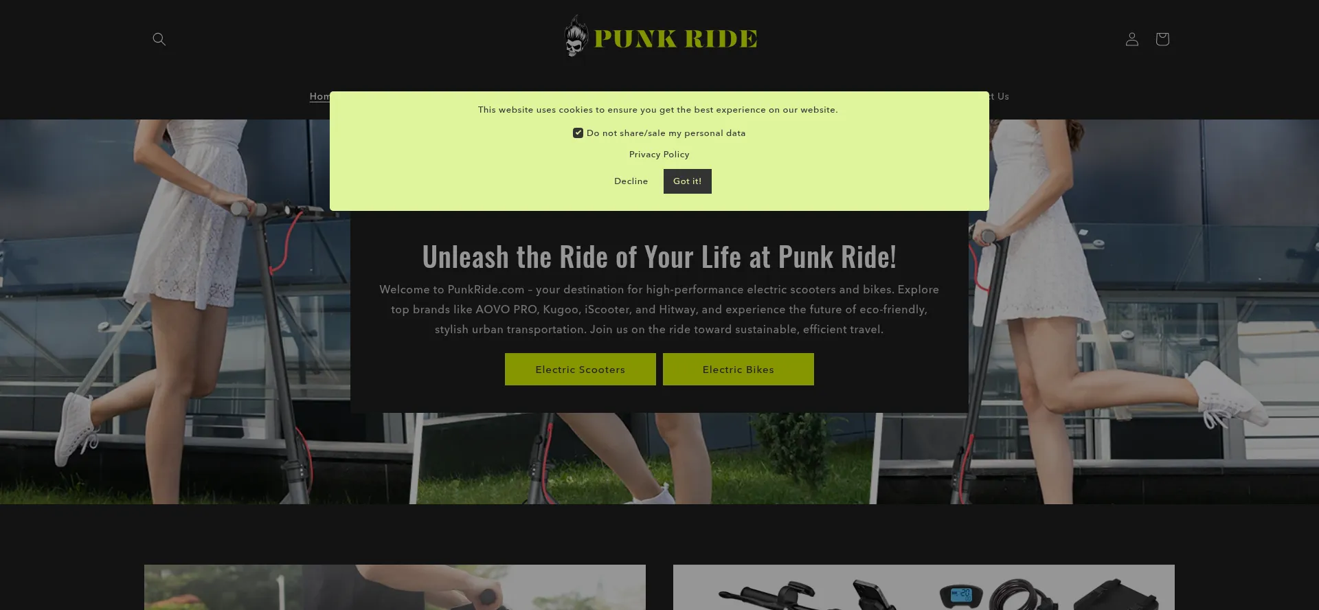 Website screenshot of Punkride.com