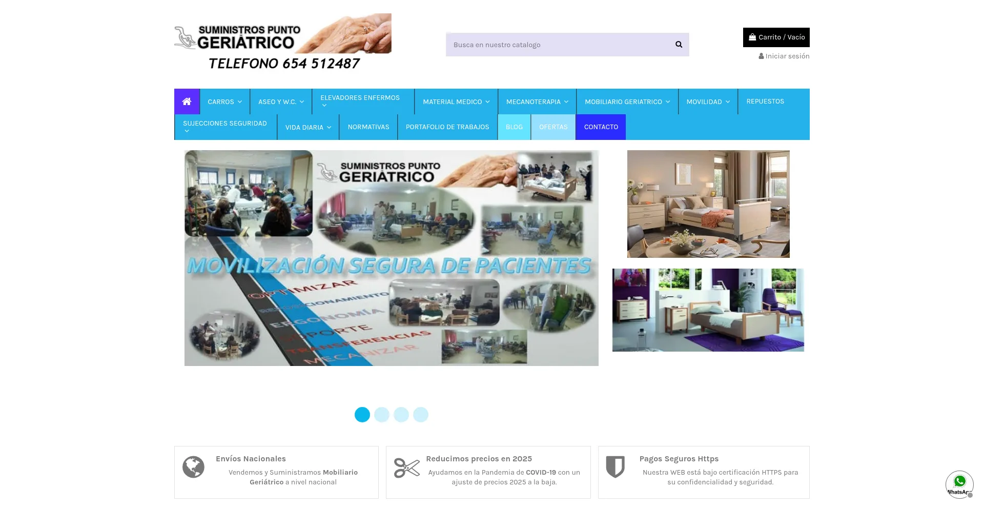 Website screenshot of Puntogeriatrico.com