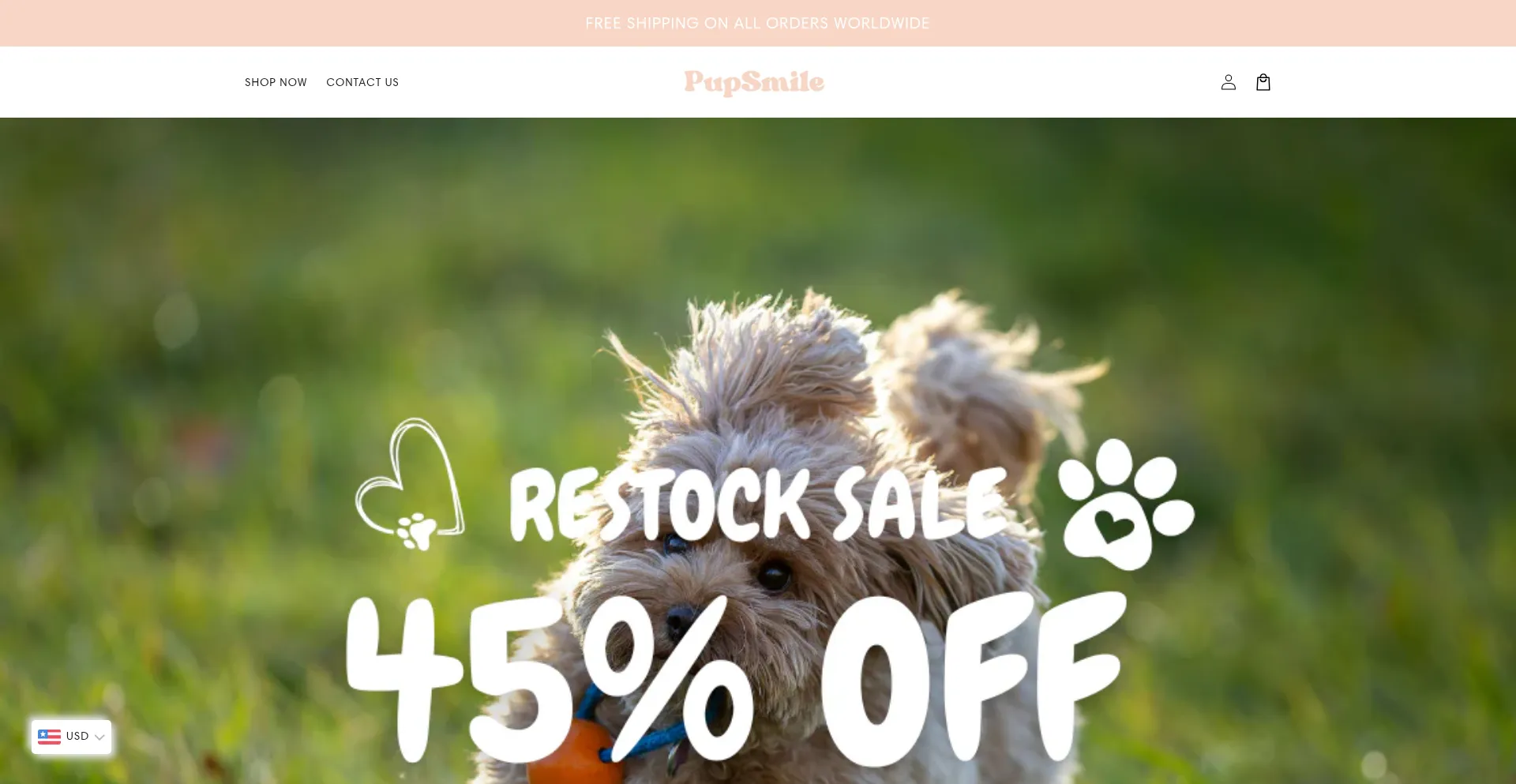 Website screenshot of Pupsmileco.com