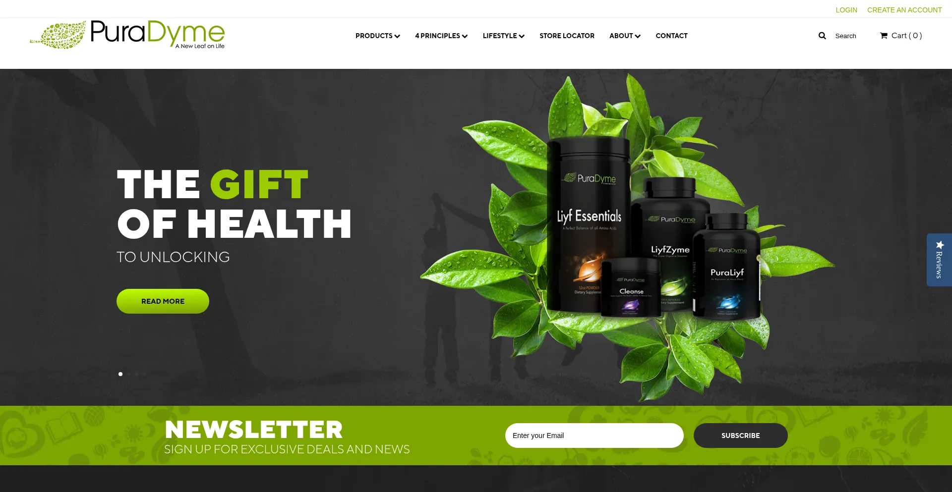 Website screenshot of Puradyme.com