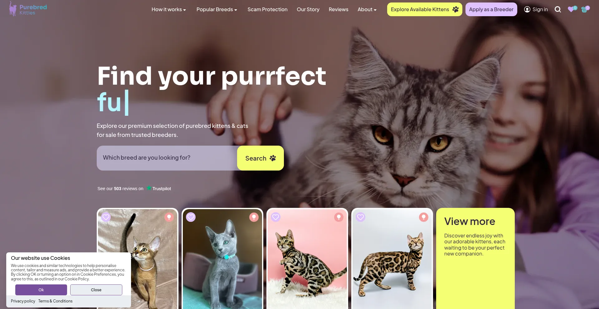 Purebredkitties.com Screenshot