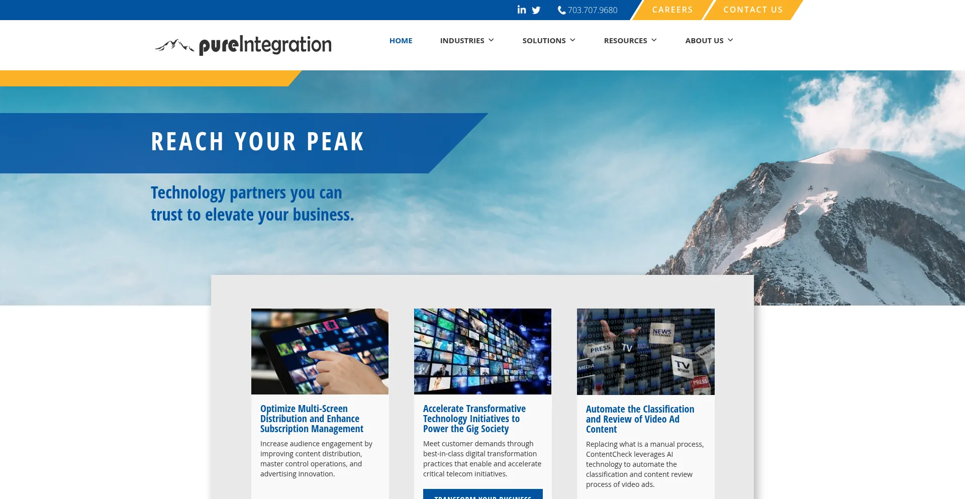 Website screenshot of Pureintegration.com