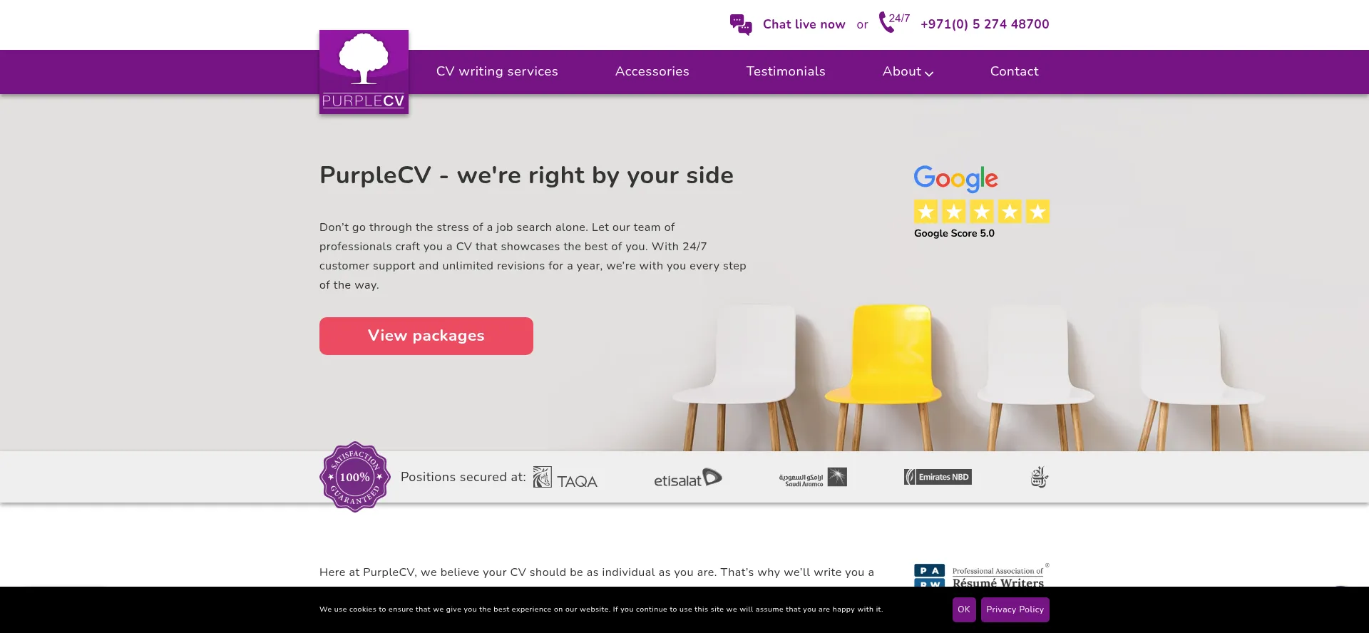 Website screenshot of Purplecv.ae