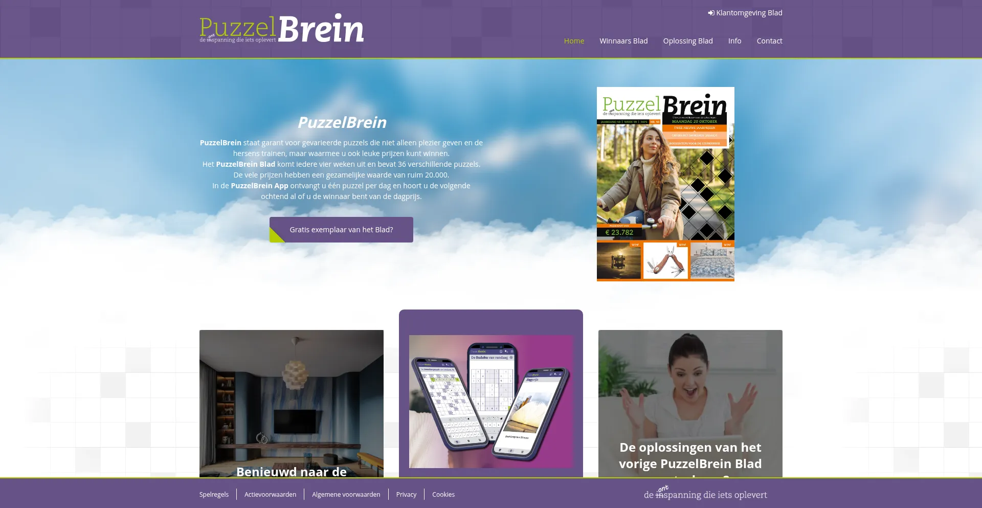 Puzzelbrein.nl Screenshot