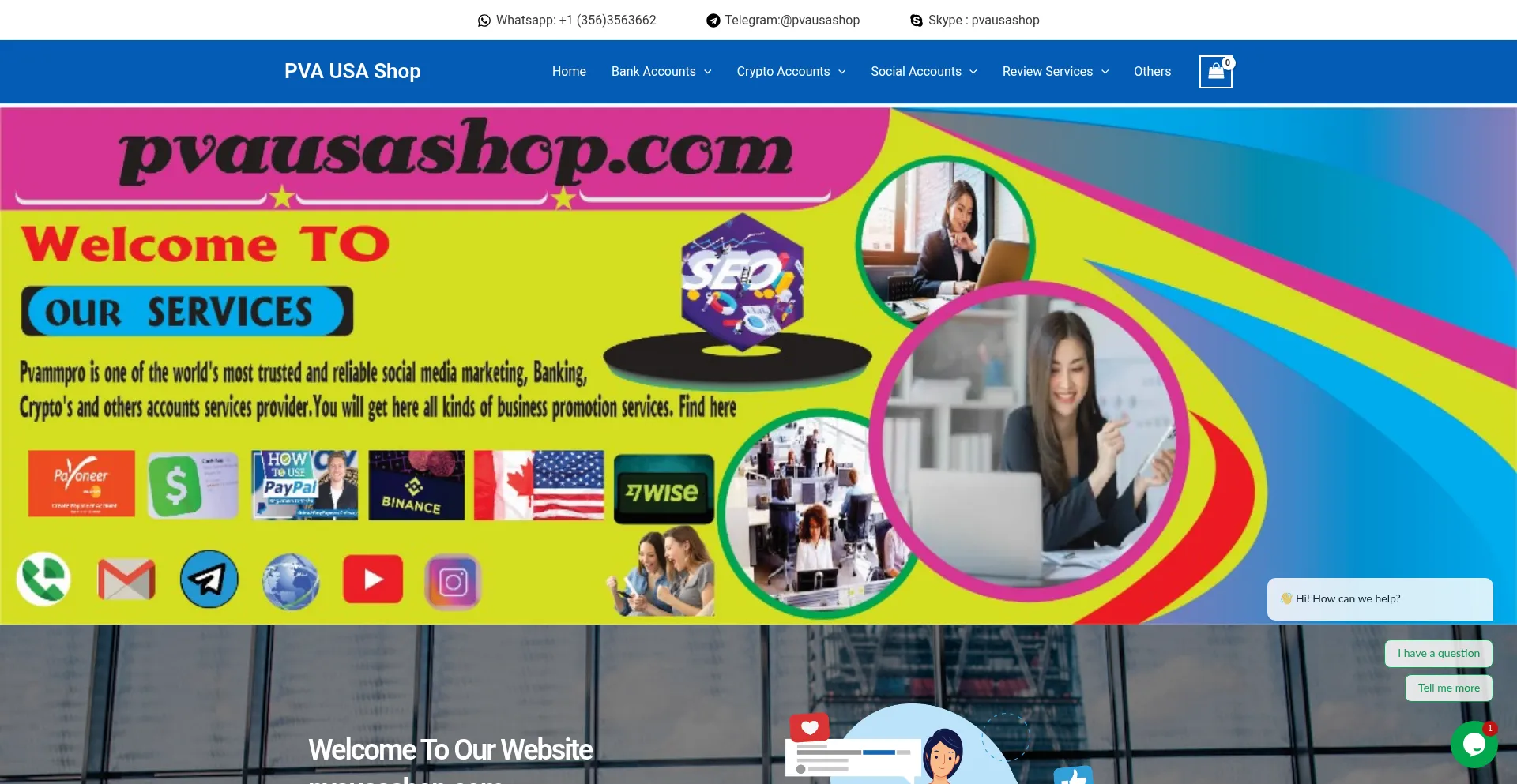 Pvausashop.com Screenshot
